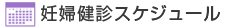 妊婦健診スケジュール